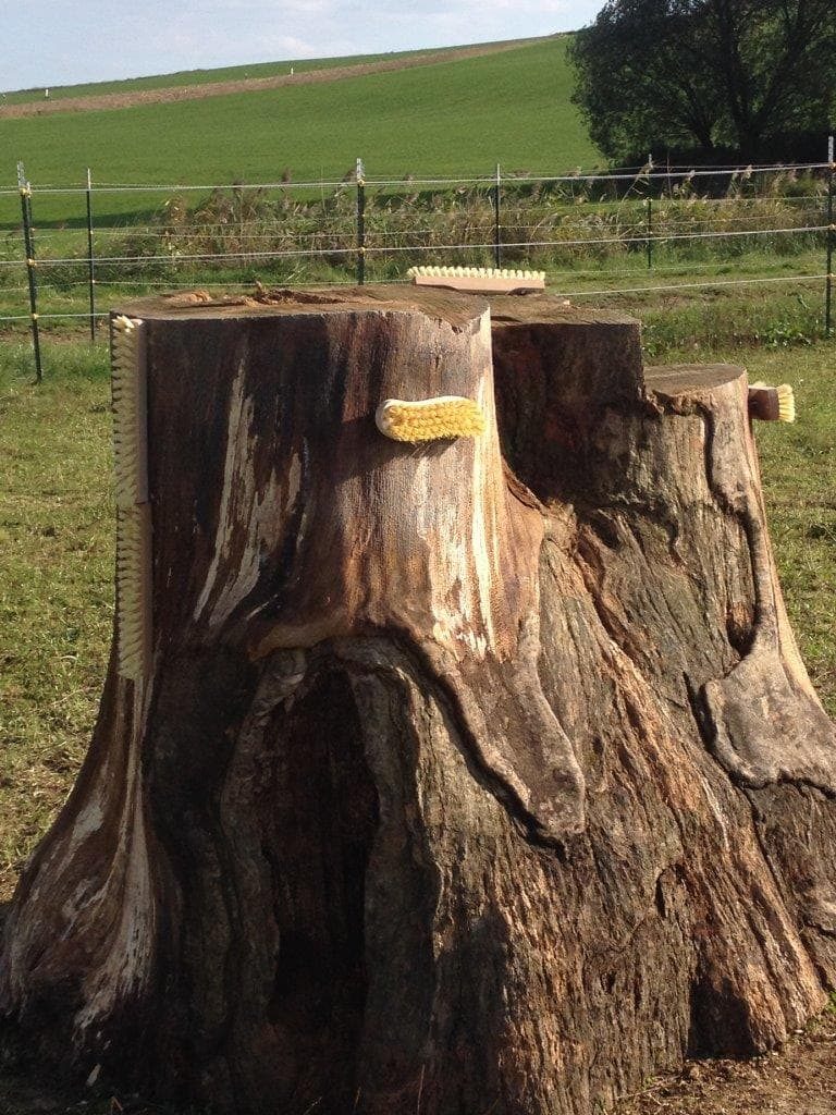 Kratzbaum