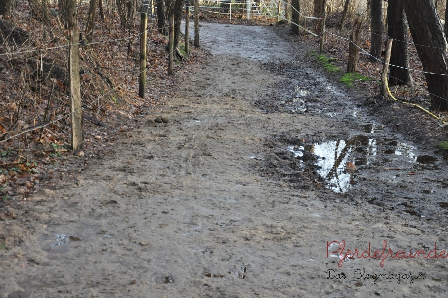 Eine Seite des Laufgangs ist trockengelegt. Die andere Seite, die tiefer liegt, (noch) nicht. Hier kann sich das Regenwasser sammeln und zur Seite hin ablaufen